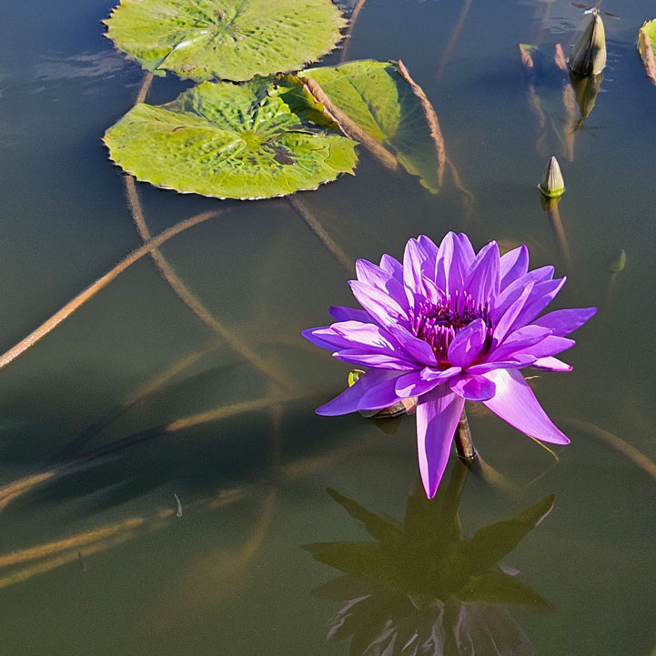 A quiet turning point